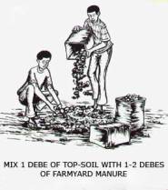 Mixing manure
